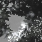 http://bz.lightizm.com/files/gimgs/th-76_71_Nostalgia2_v2.jpg